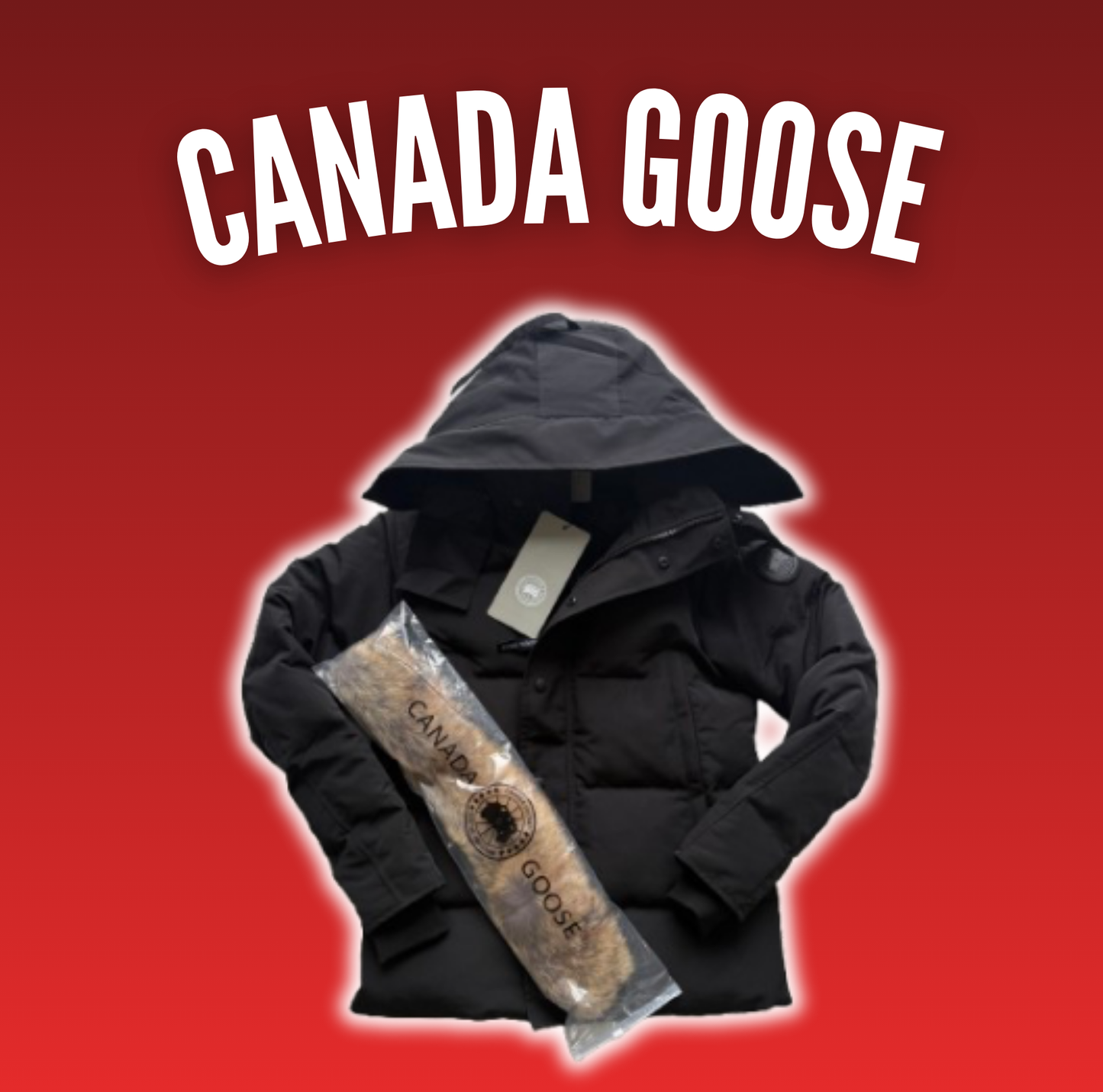 Canada Goose